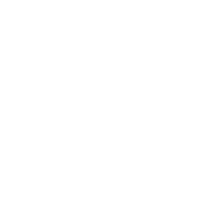 bunny media